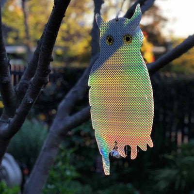Jack Pest Control Outdoor Owl Reflector - 200mm Silver - Non-Harmful Deterrent