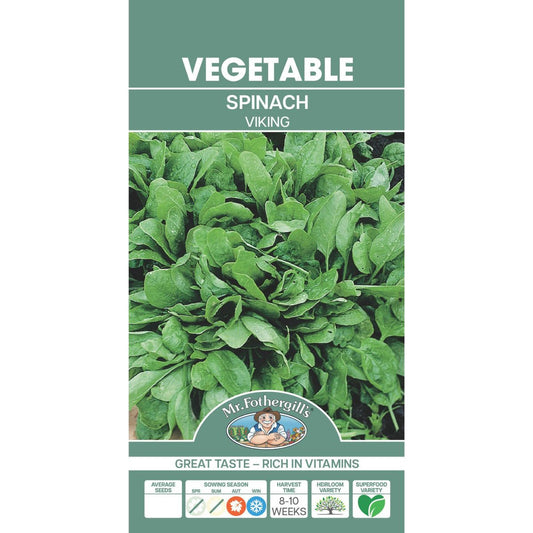 Mr Fothergill S Viking Spinach - Approx. 250 Seeds - Seed - High in Vitamins - Auzzistore