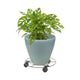 Eden Pot Plant Trolley - 25cm - Wire - Safety Locking Brake