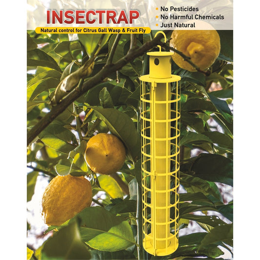 Go Natural Insect Trap - 270mm - Non-Toxic - Pest Control – view 2 - Auzzistore