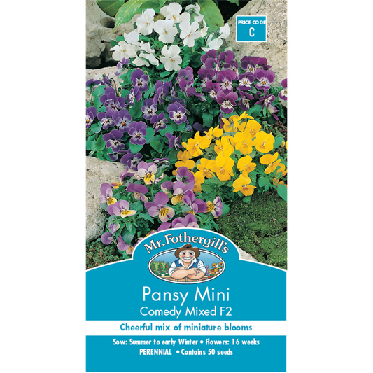 Mr Fothergill Mini Pansy Flower Seeds - 16 Weeks - Frost Hardy - Edible - Auzzistore