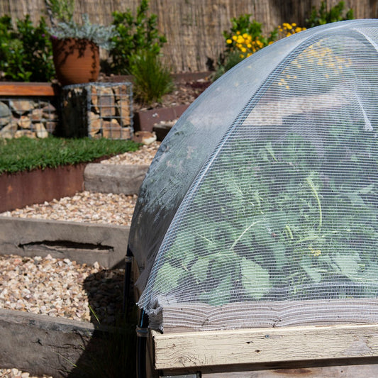 Backyard Farmer Crop Protection Net - 4 x 4m - 7mm - UV Treated - Wildlife Friendly – view 2 - Auzzistore