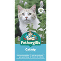 Mr Fothergill Catnip Seeds - Easy To Grow - 75mm - Fragrant Foliage