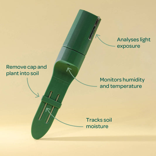 Willow Smart Indoor Plant Sensor Starter Pack - 1 Sensor & Hub - 197mm x 40mm x 164mm - Monitors Soil Moisture, Light, Temperature, Humidity – view 2 - Auzzistore