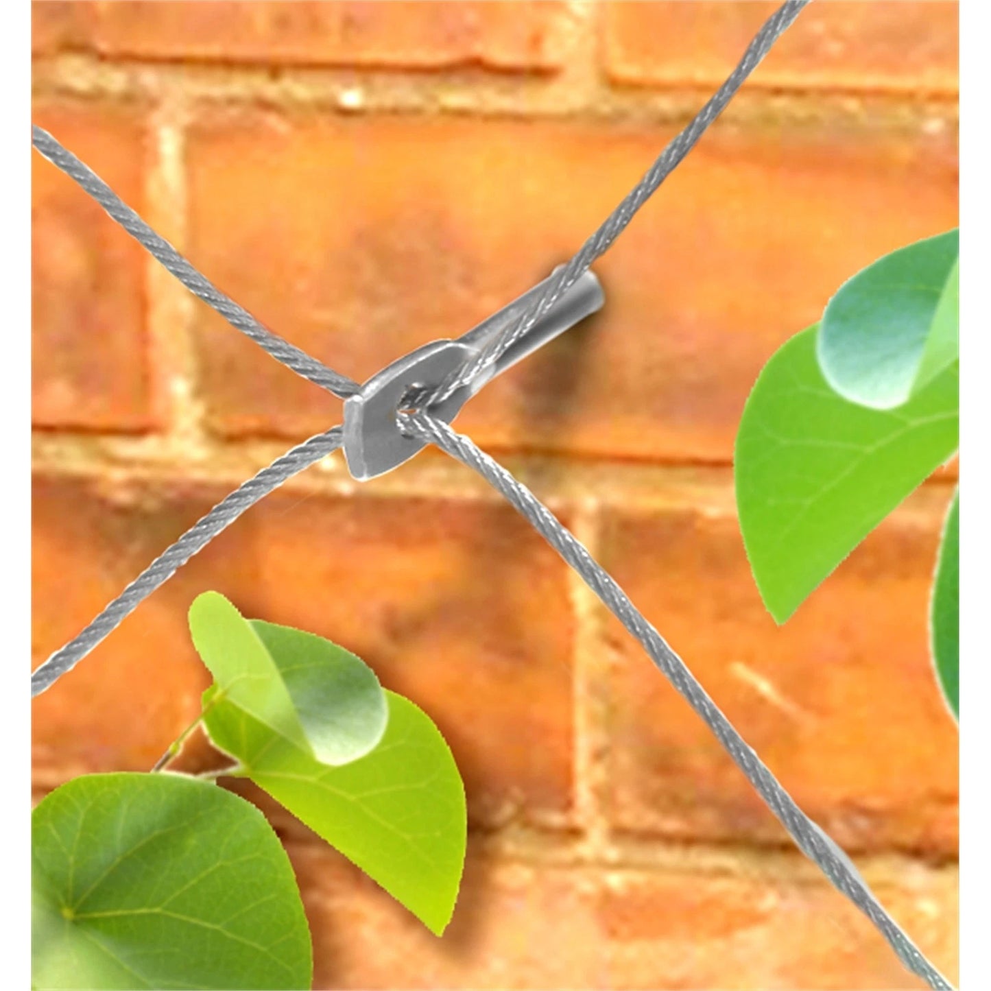 Jack 5m Grip And Grow Trellis Kit - Supports Climbing Plants, Easy Install, Custom Design