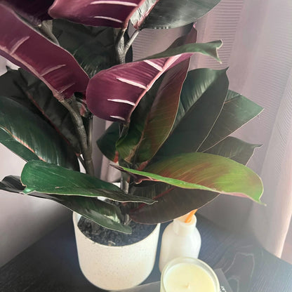 UN-REAL 67cm Artificial Burgundy Rubber Plant - Indoor, Low Maintenance, Realistic Foliage