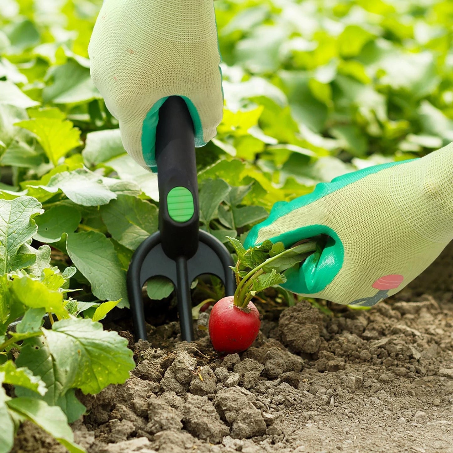 Saxon Hand Fork with Grip Handle - Durable Polypropylene, Ergonomic Design, Easy Storage