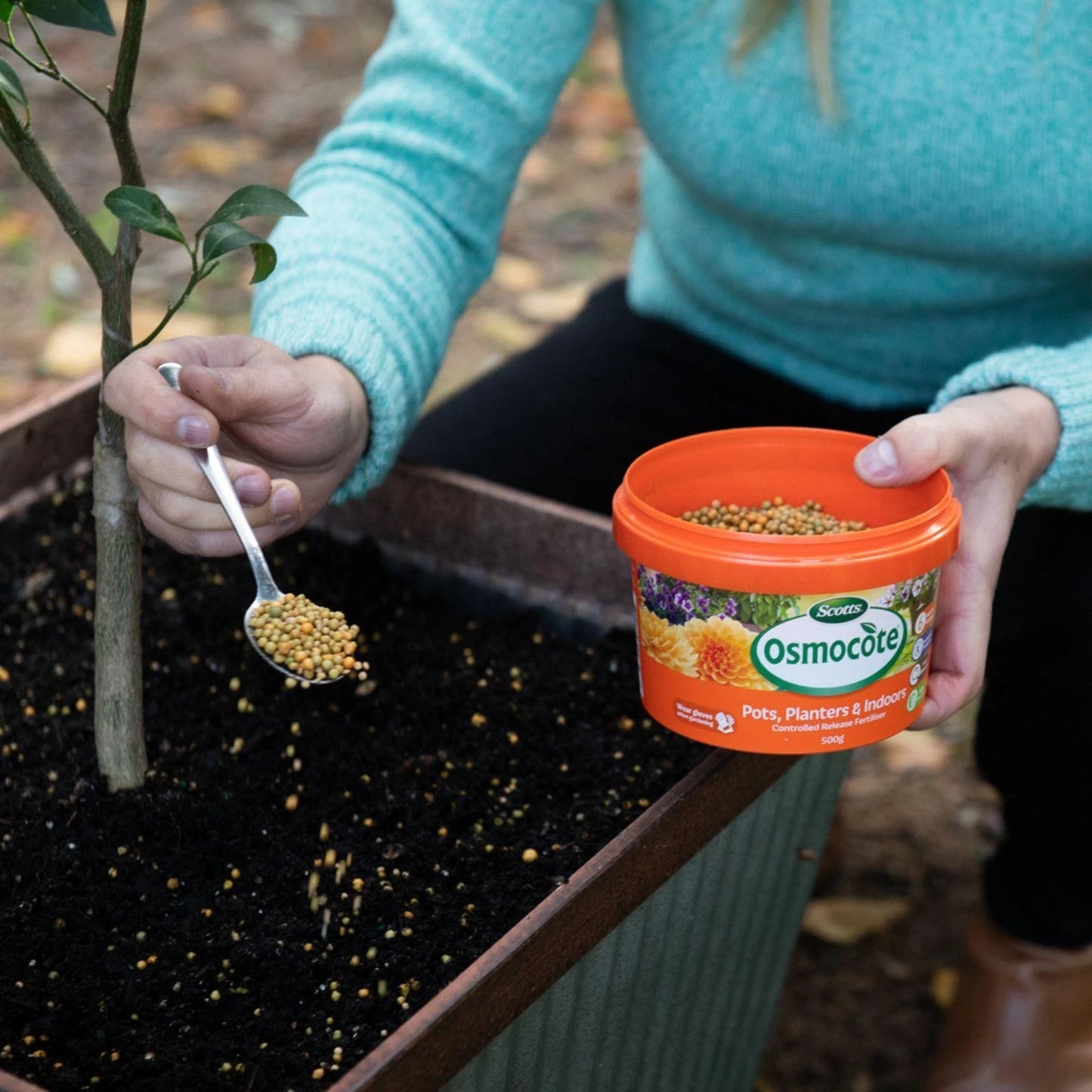 Scotts Osmocote 500g Controlled Release Fertiliser for Pots & Indoor Plants, 6-Month Feed