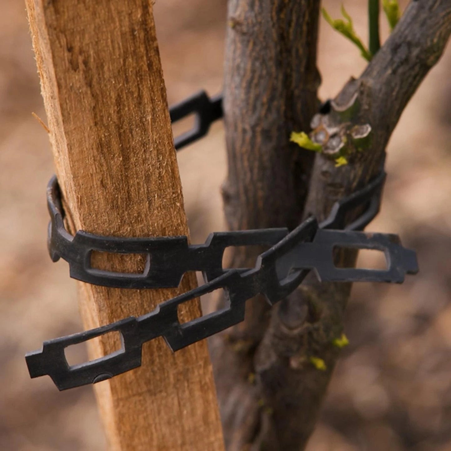 Jack 4m Heavy Duty Chain Plant Tie, Durable & Reusable, Adjustable Support for Indoor/Outdoor Use