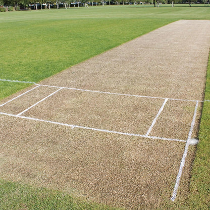 Dy-Mark 500g White Turf Master Fast-Drying Grass Marking Paint, UV & Waterproof