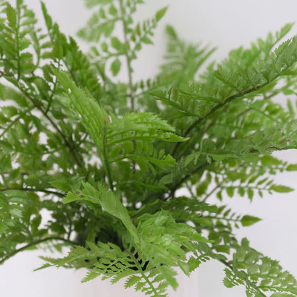 Artificial Rabbit's Foot Fern 35cm - Lifelike Faux Plant with Furry Rhizomes, No Maintenance