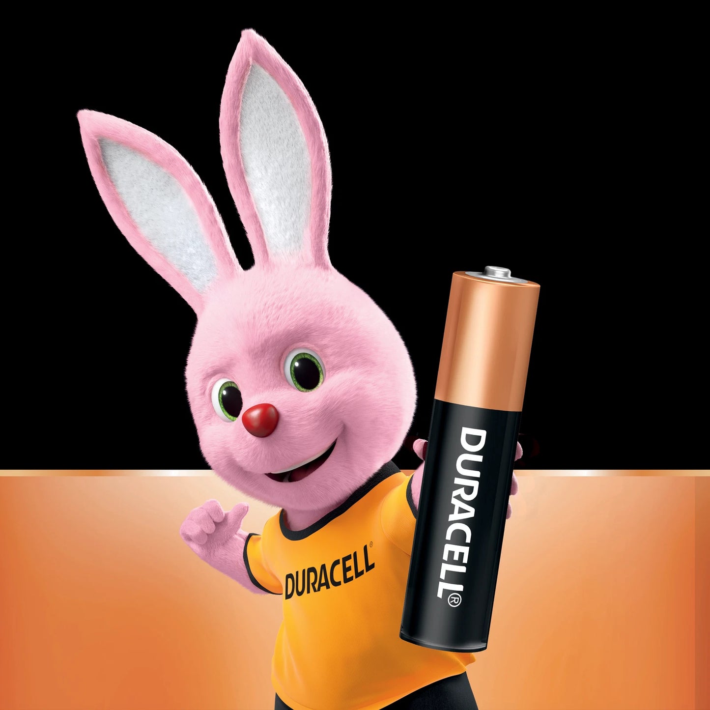 Duracell Coppertop AAA Batteries 24 Pack - Long-Lasting, Reliable, 10-Year Shelf Life
