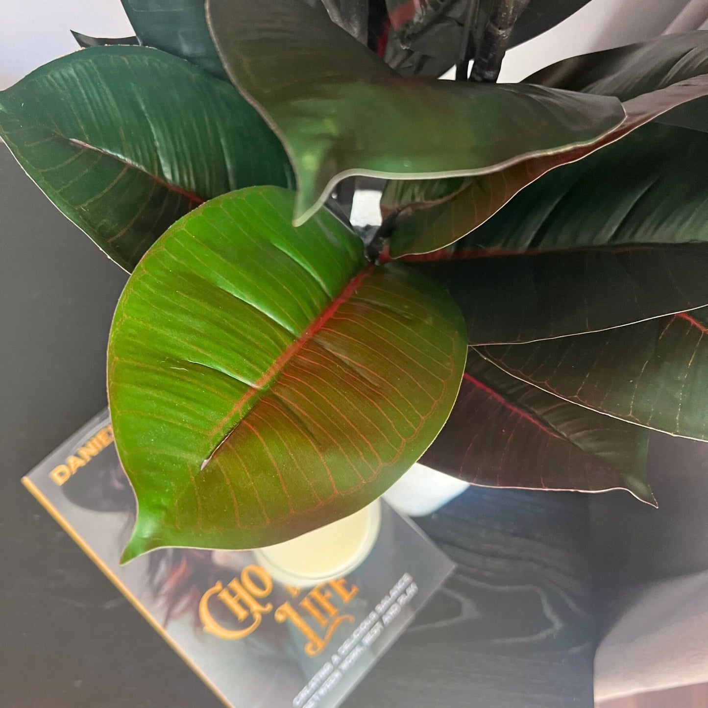 UN-REAL 67cm Artificial Burgundy Rubber Plant - Indoor, Low Maintenance, Realistic Foliage