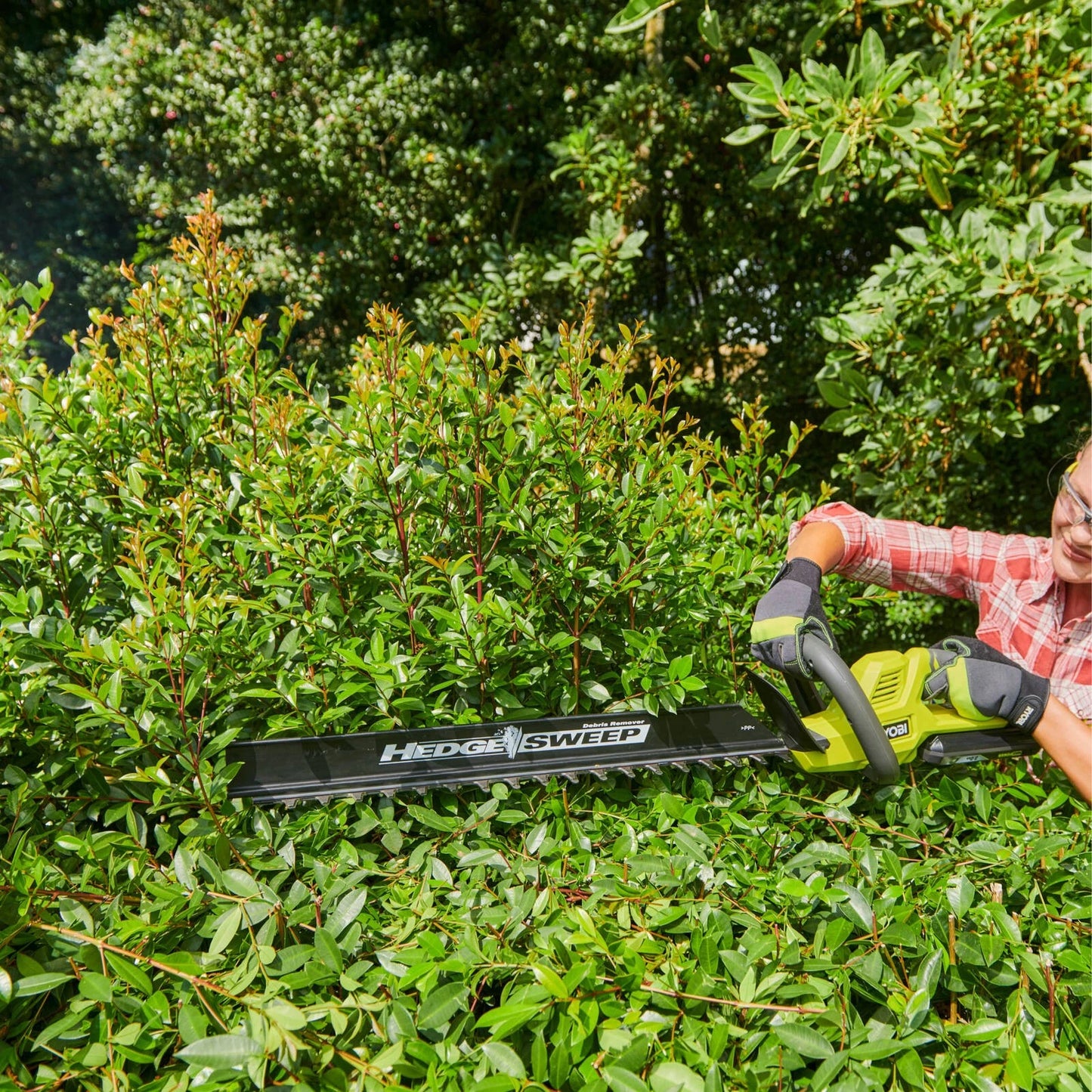 Ryobi 36V Hedge Trimmer 60cm, Lightweight, Diamond-Ground Blades, 25mm Cut Capacity