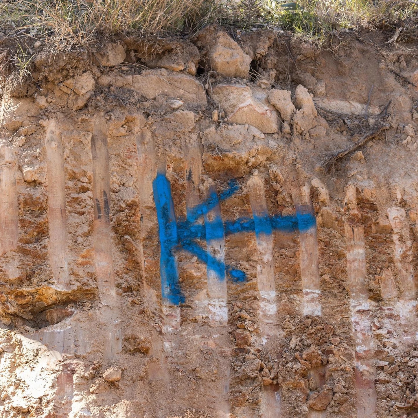 Dy-Mark 350g Yellow Water-Based Spray Paint, Fast-Drying, UV Resistant, 360° Valve