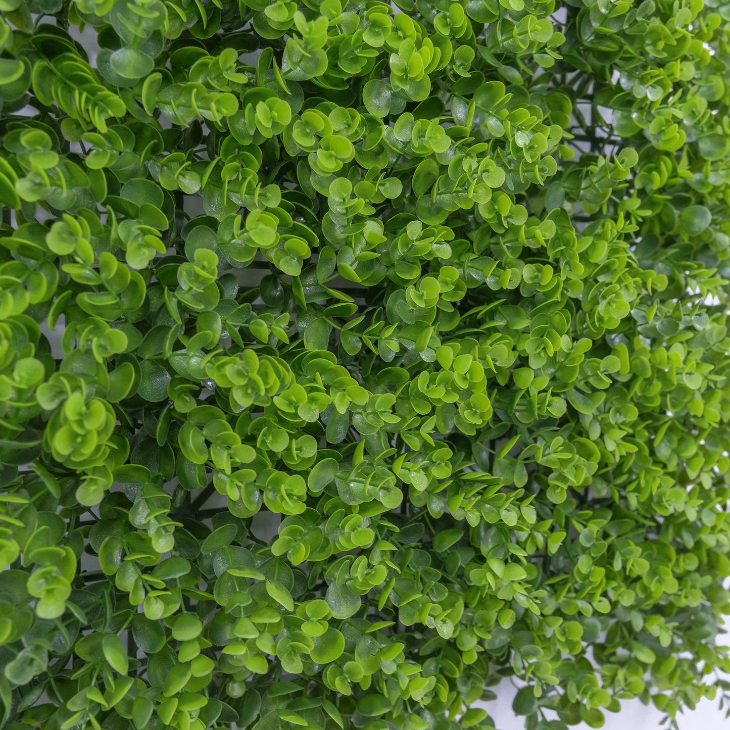 UN-REAL Artificial Hedge 50x50cm Baby Eucalyptus, UV-Treated, 5-Year Warranty, Indoor/Outdoor