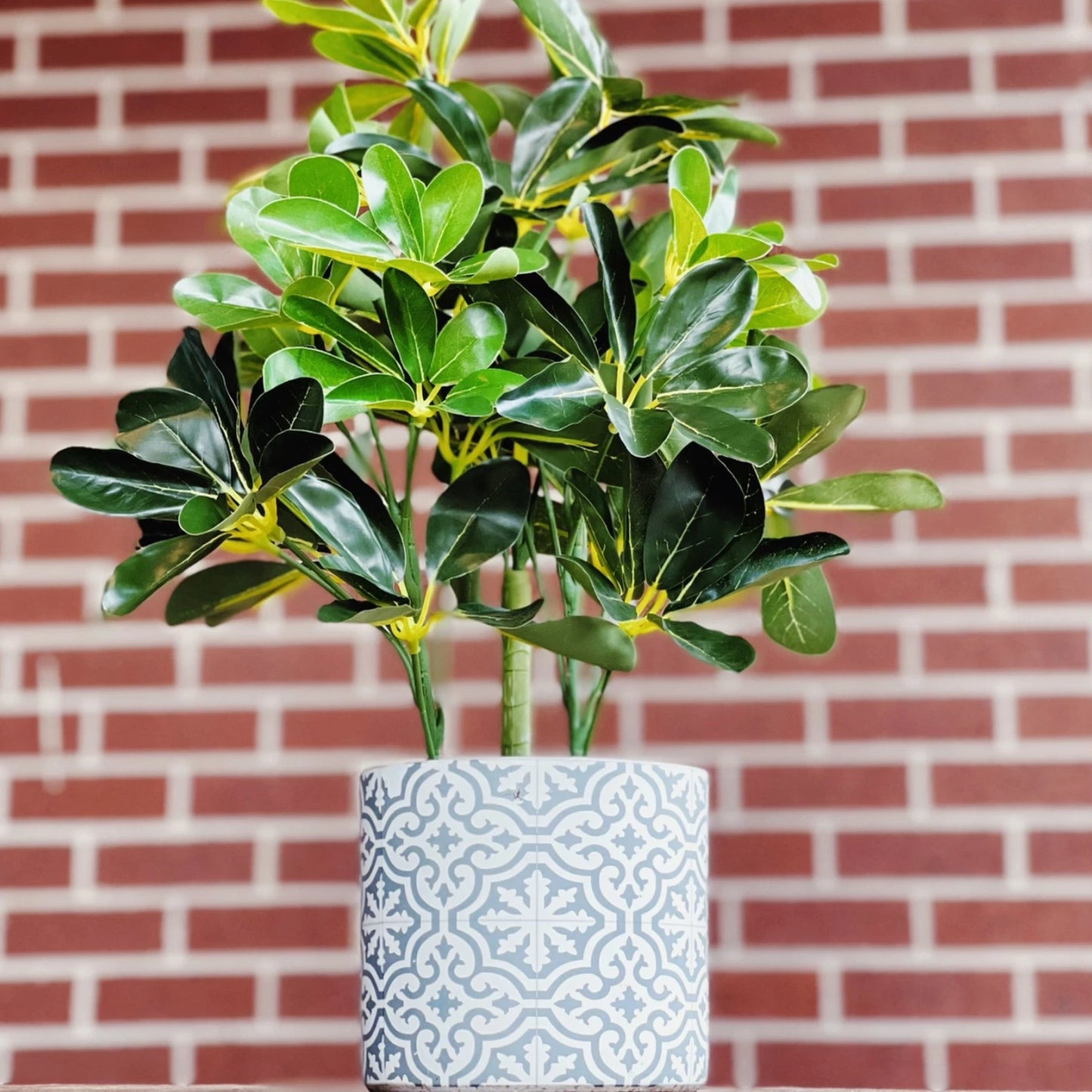 UN-REAL 52cm Artificial Umbrella Tree - Realistic, Maintenance-Free Indoor Decor