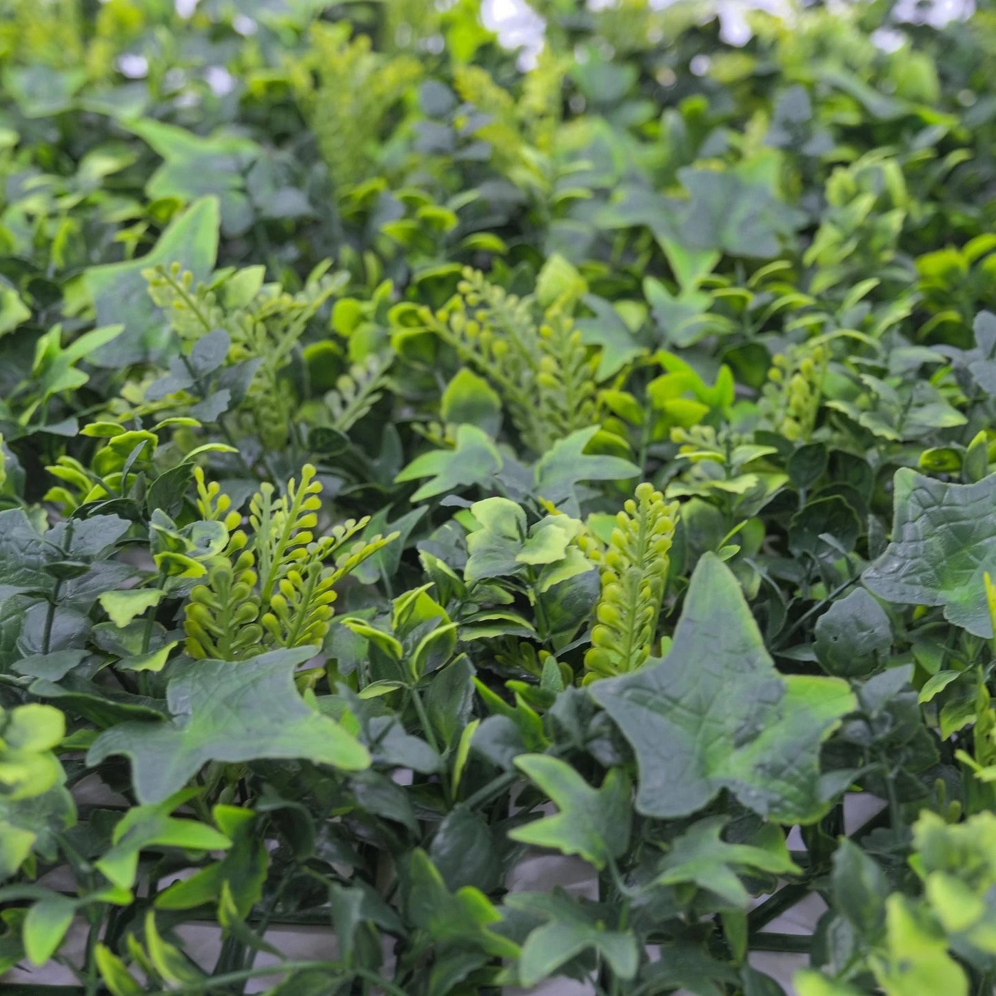 UN-REAL 50x50cm English Elm Artificial Hedge Tile, UV Resistant, Low Maintenance, Indoor/Outdoor