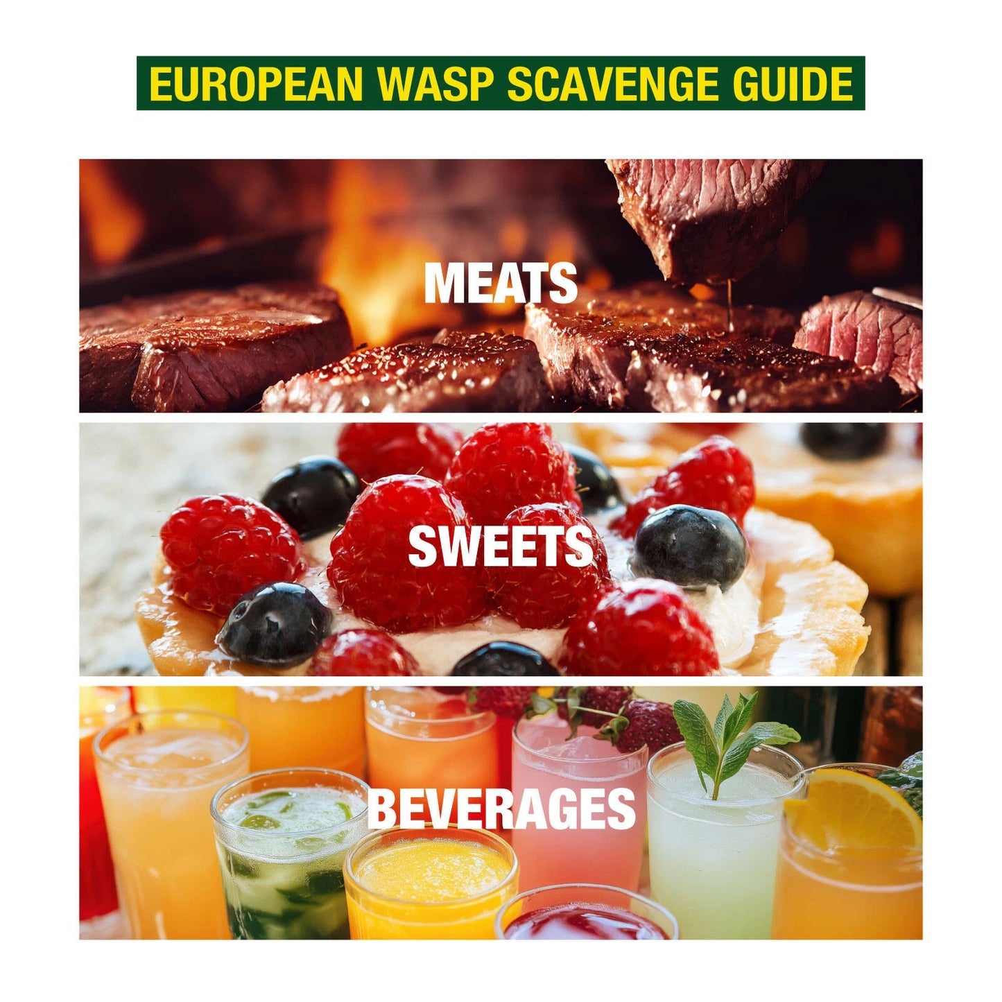 Envirosafe European Wasp Trap - Non-Toxic, Rapid Activation, Outdoor Use