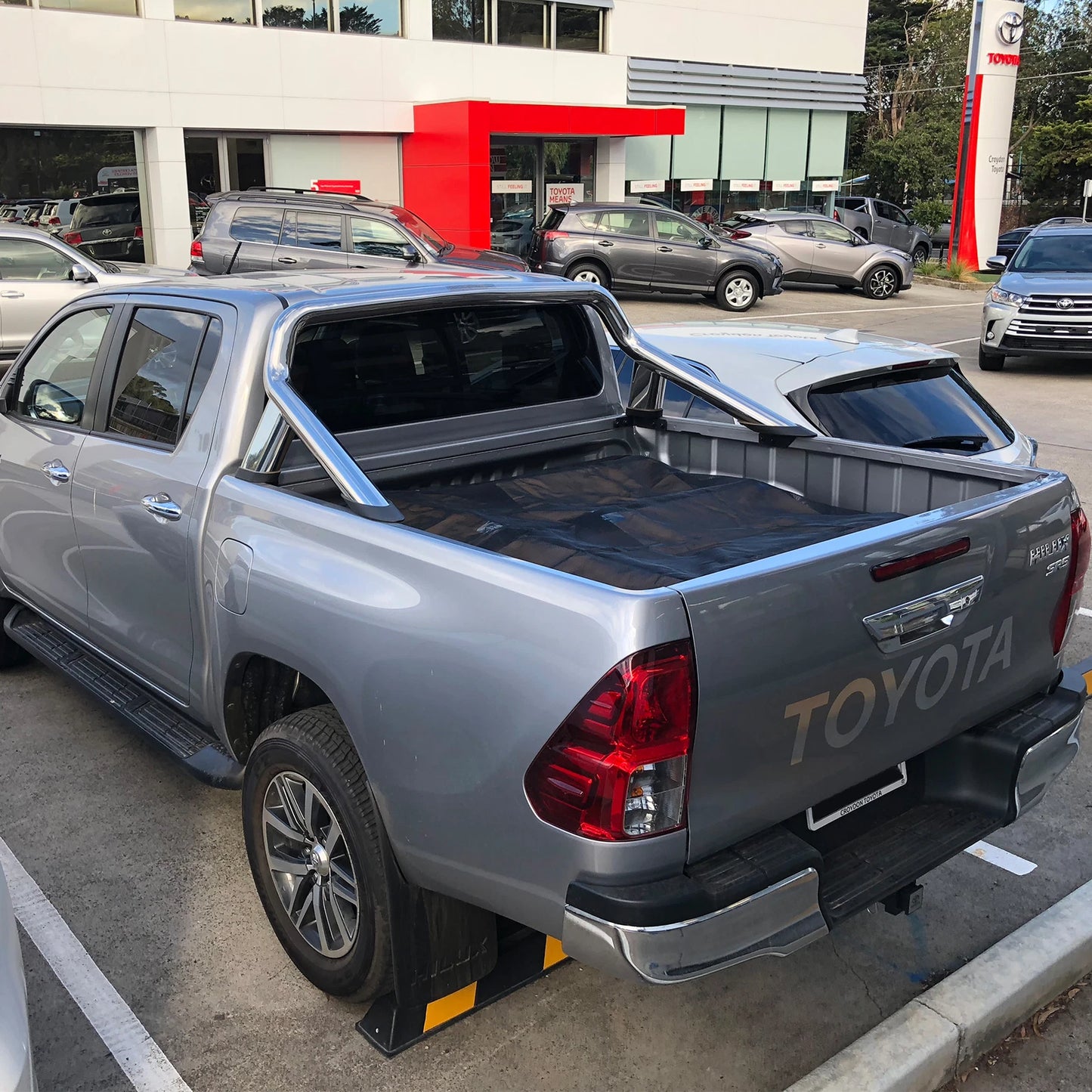 Lion Dual Cab Tub-Fit MeshTech Cargo Net, Adjustable Anti-Tangle Design, UV Protected