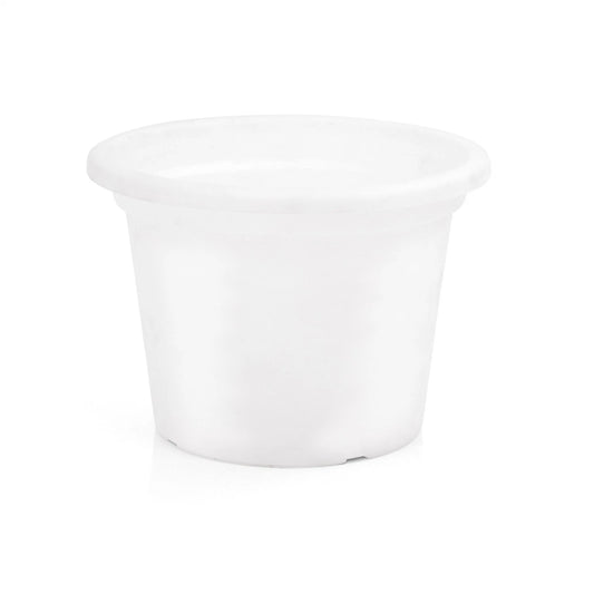 EDEN 25cm Transparent White Cylinder Planter, Lightweight, Frost & UV Resistant