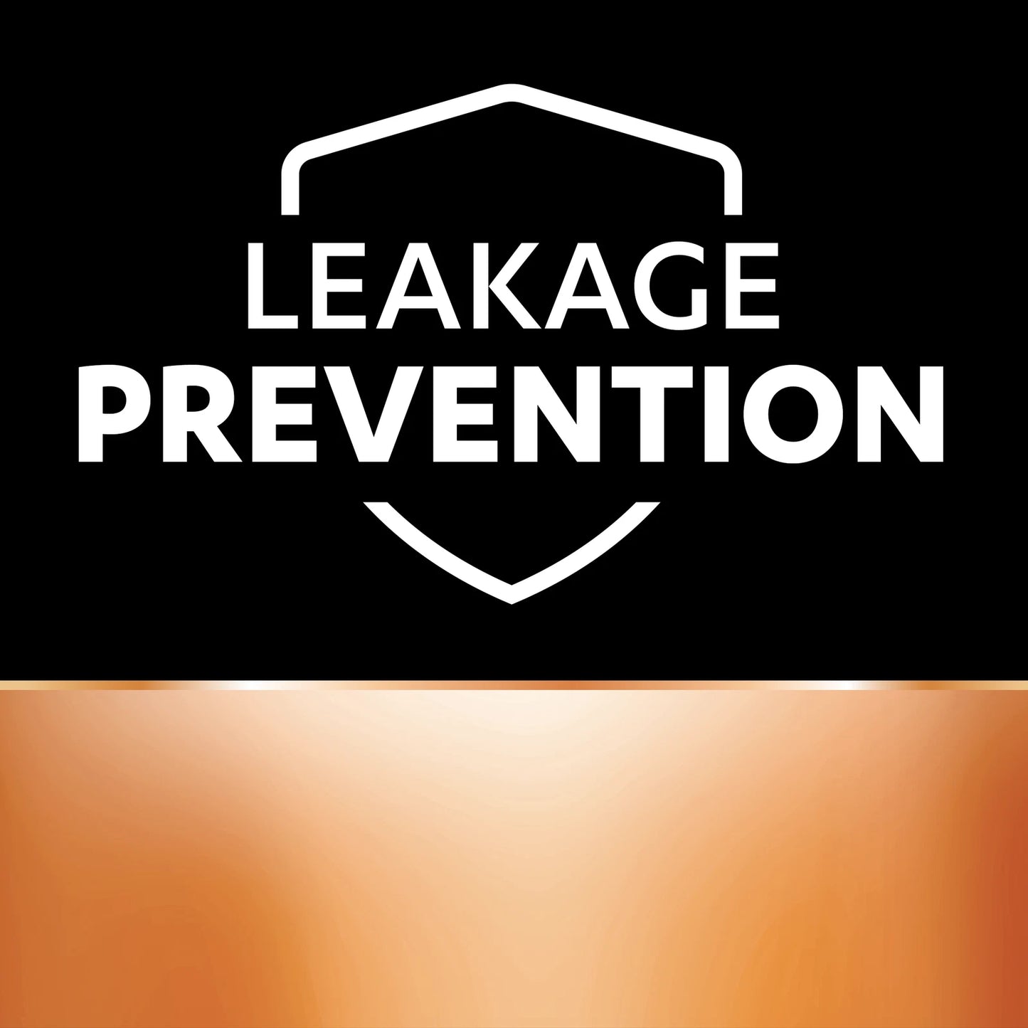 Duracell Coppertop AAA Batteries 24 Pack - Long-Lasting, Reliable, 10-Year Shelf Life