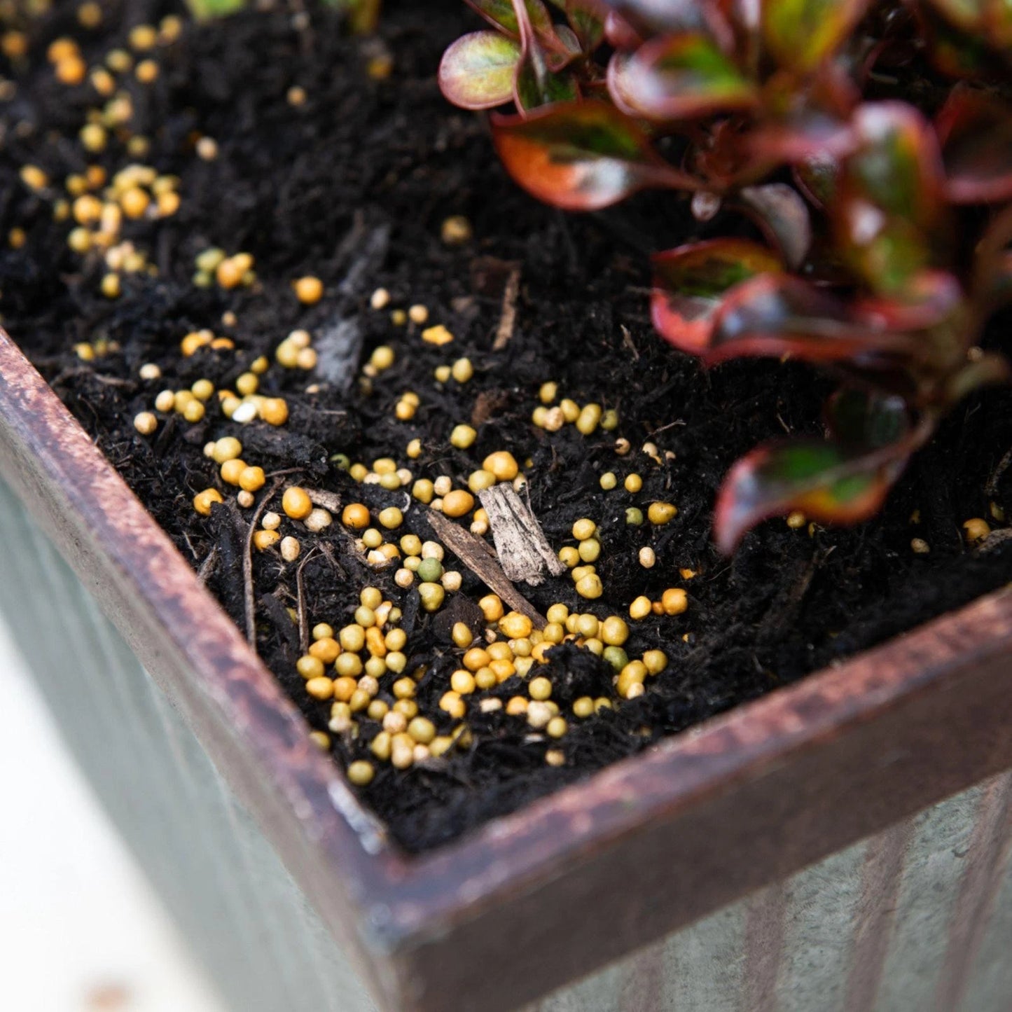 Scotts Osmocote 500g Controlled Release Fertiliser for Pots & Indoor Plants, 6-Month Feed