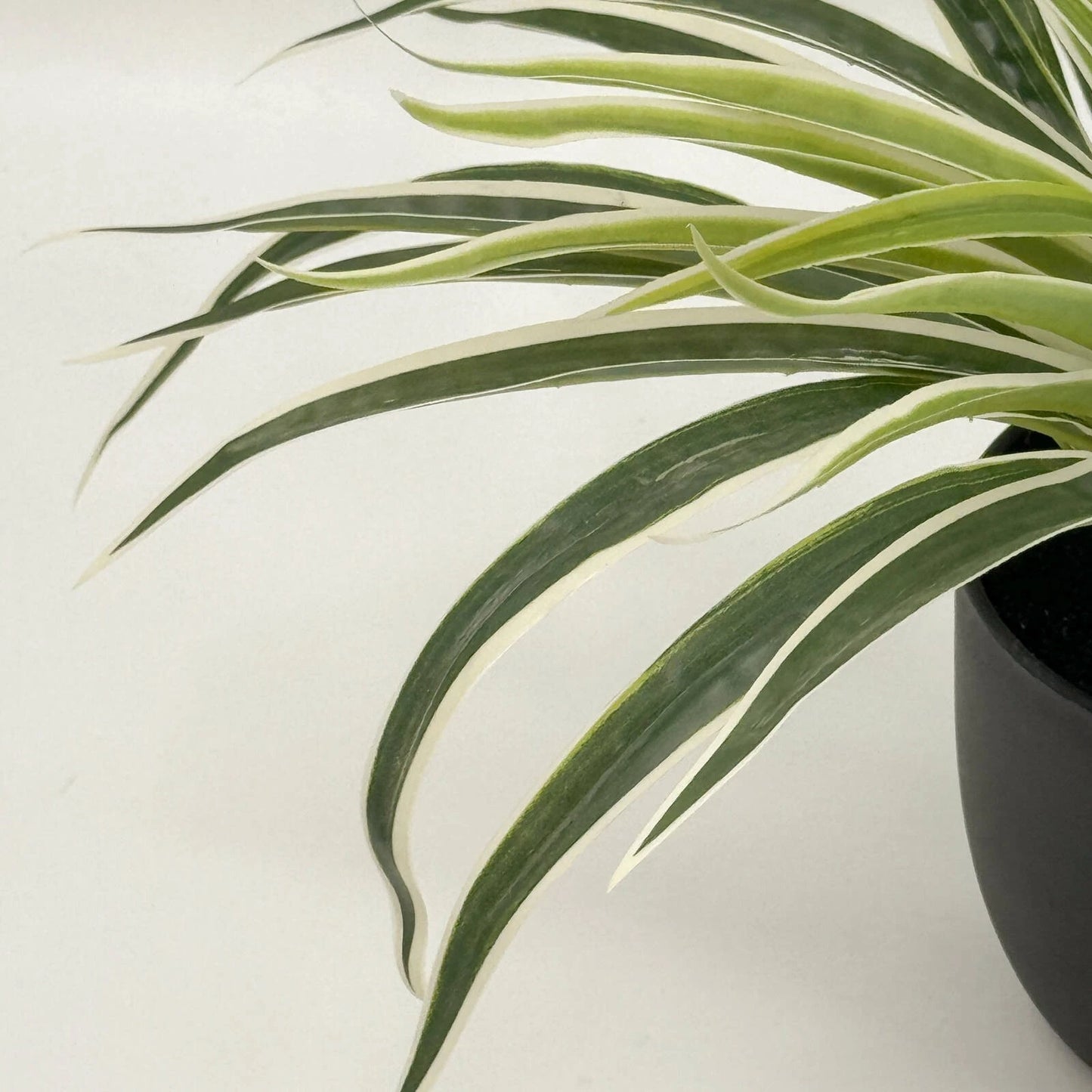 UN-REAL 30cm Artificial Spider Plant - Lifelike Indoor Decor, Maintenance-Free, Realistic Design