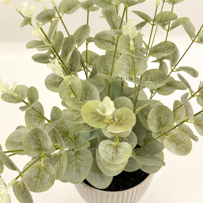 Artificial Baby Eucalyptus Plant - Green, 38cm, No Maintenance, White Pot