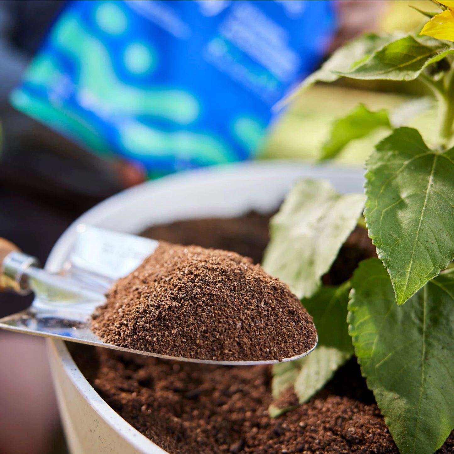 Superfly All Purpose Fertiliser & Soil Enhancer, Eco-Friendly, 2kg, Rich in Microbes & Probiotics