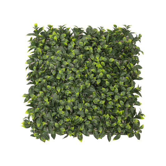 UN-REAL 50x50cm Pittosporum Artificial Hedge Tile, UV Treated, Weather-Resistant, Easy Install