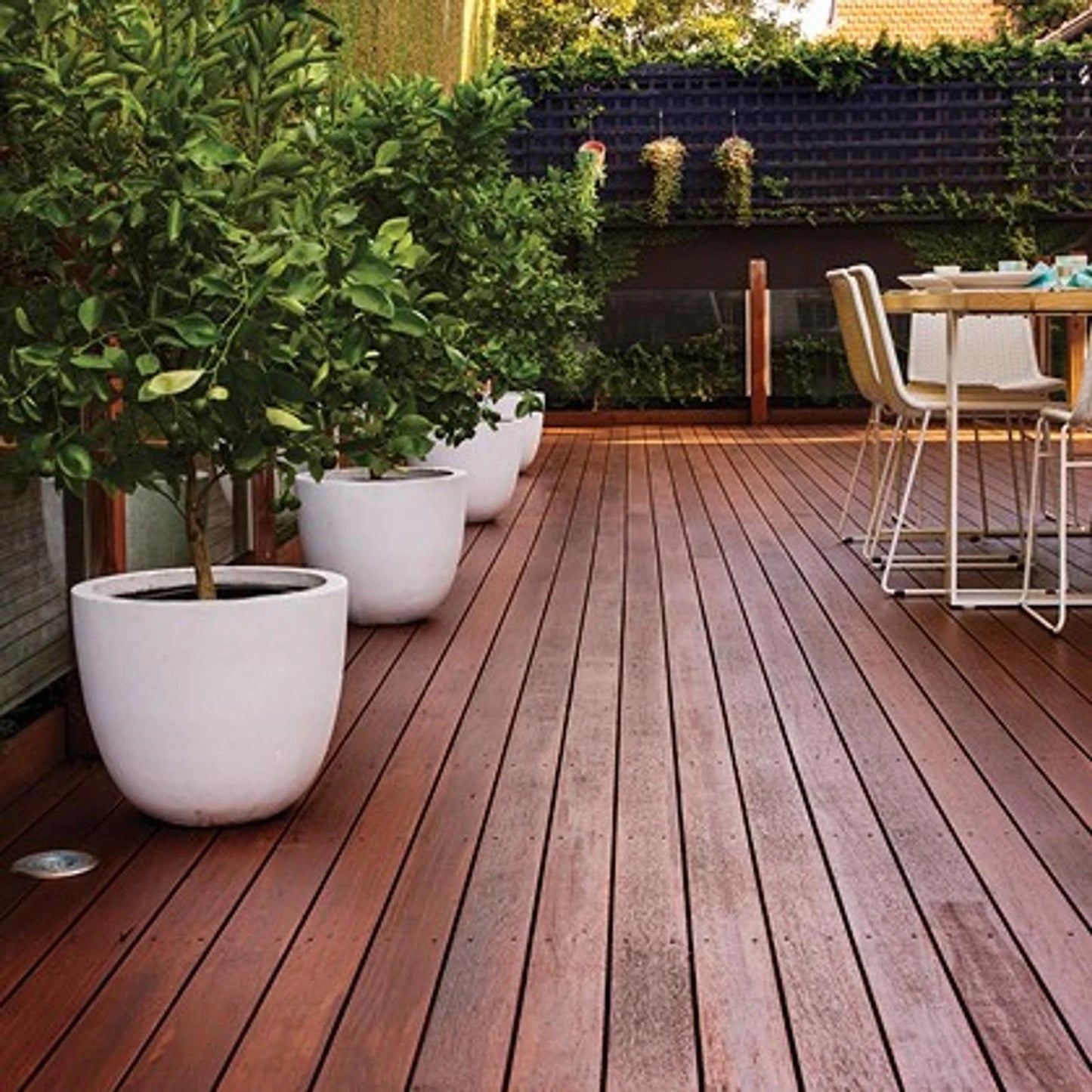 Cabot's 4L Natural Decking Oil - Fast Drying, UV & Water Resistant, Deep Penetrating
