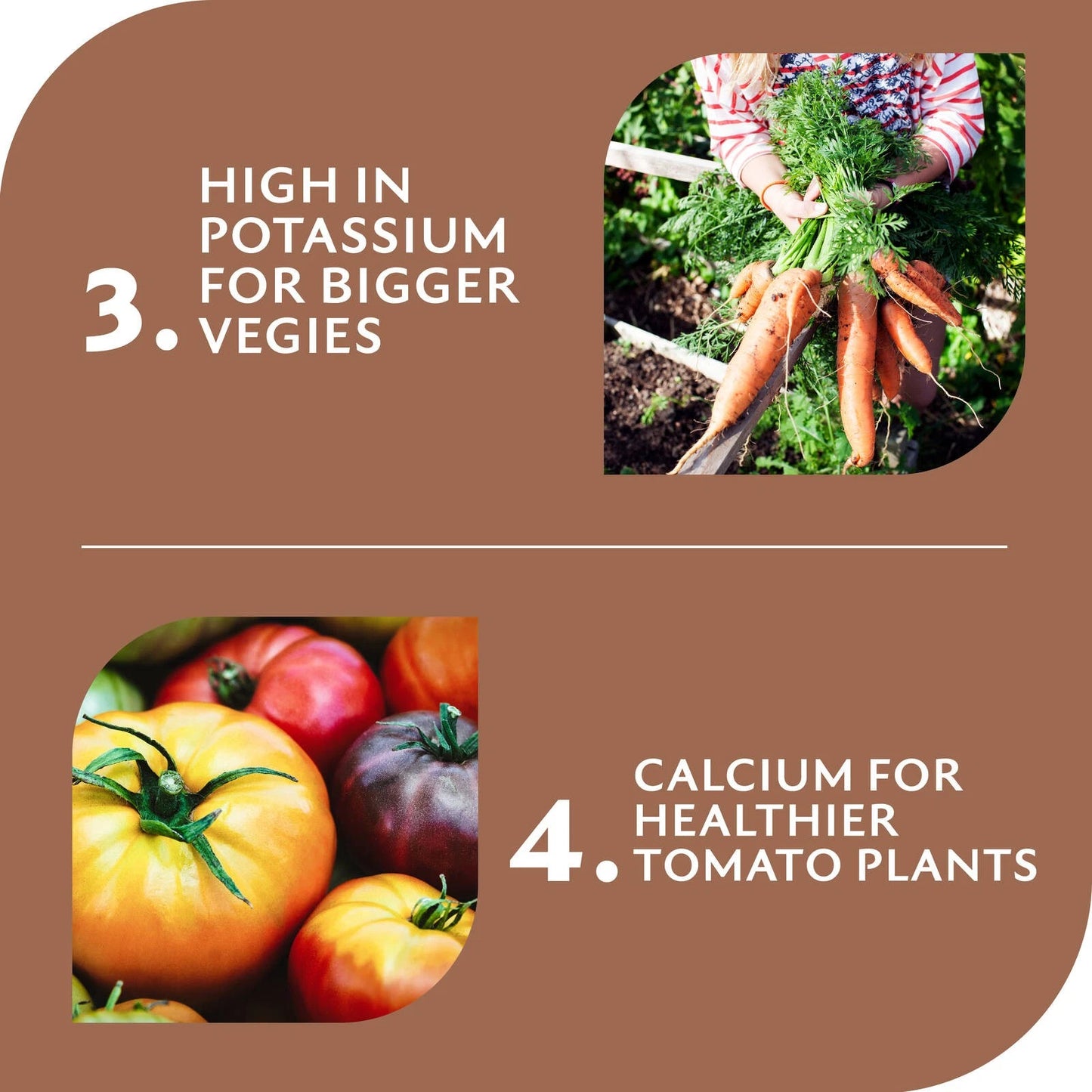 Yates 3kg Dynamic Lifter Plant Food Pellets for Tomatoes, Vegies & Herbs - Fast-Acting, Long-Lasting Fertilizer