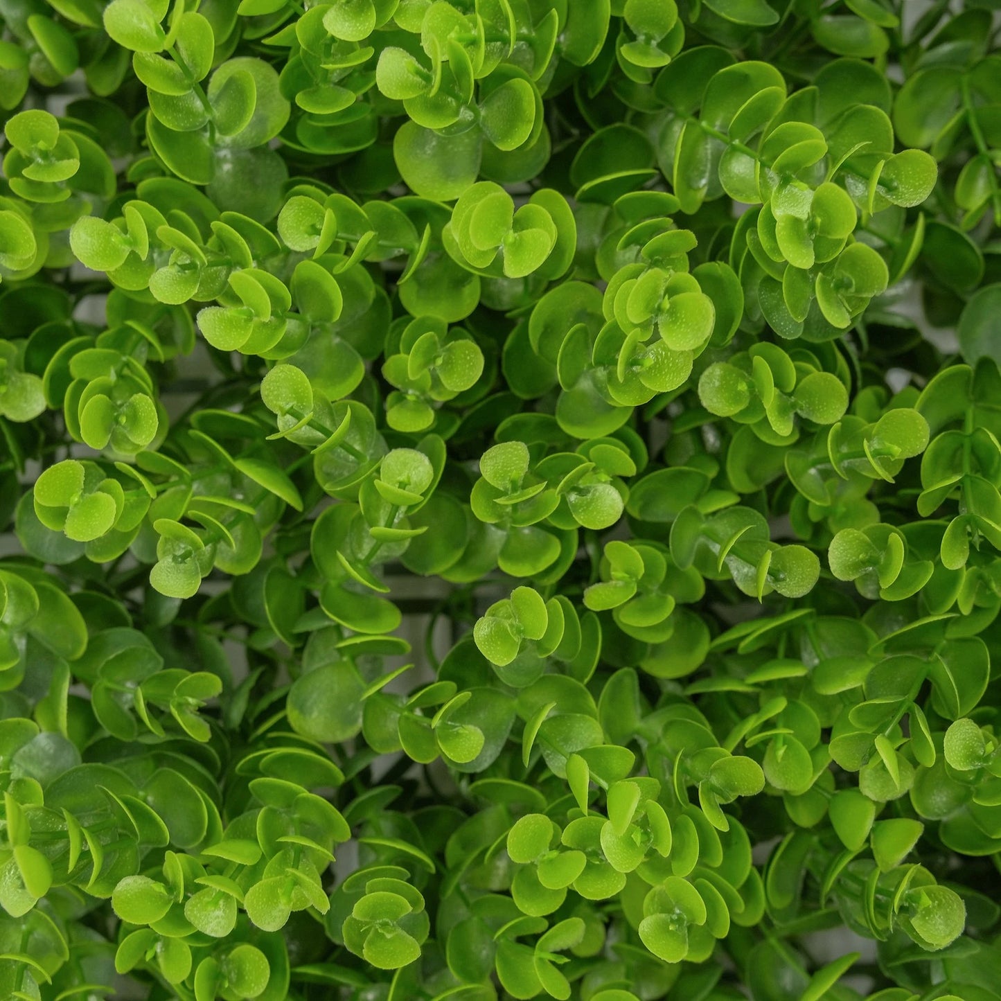 UN-REAL Artificial Hedge 50x50cm Baby Eucalyptus, UV-Treated, 5-Year Warranty, Indoor/Outdoor