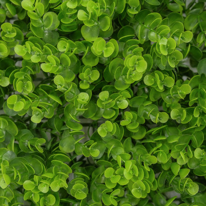 UN-REAL Artificial Hedge 50x50cm Baby Eucalyptus, UV-Treated, 5-Year Warranty, Indoor/Outdoor