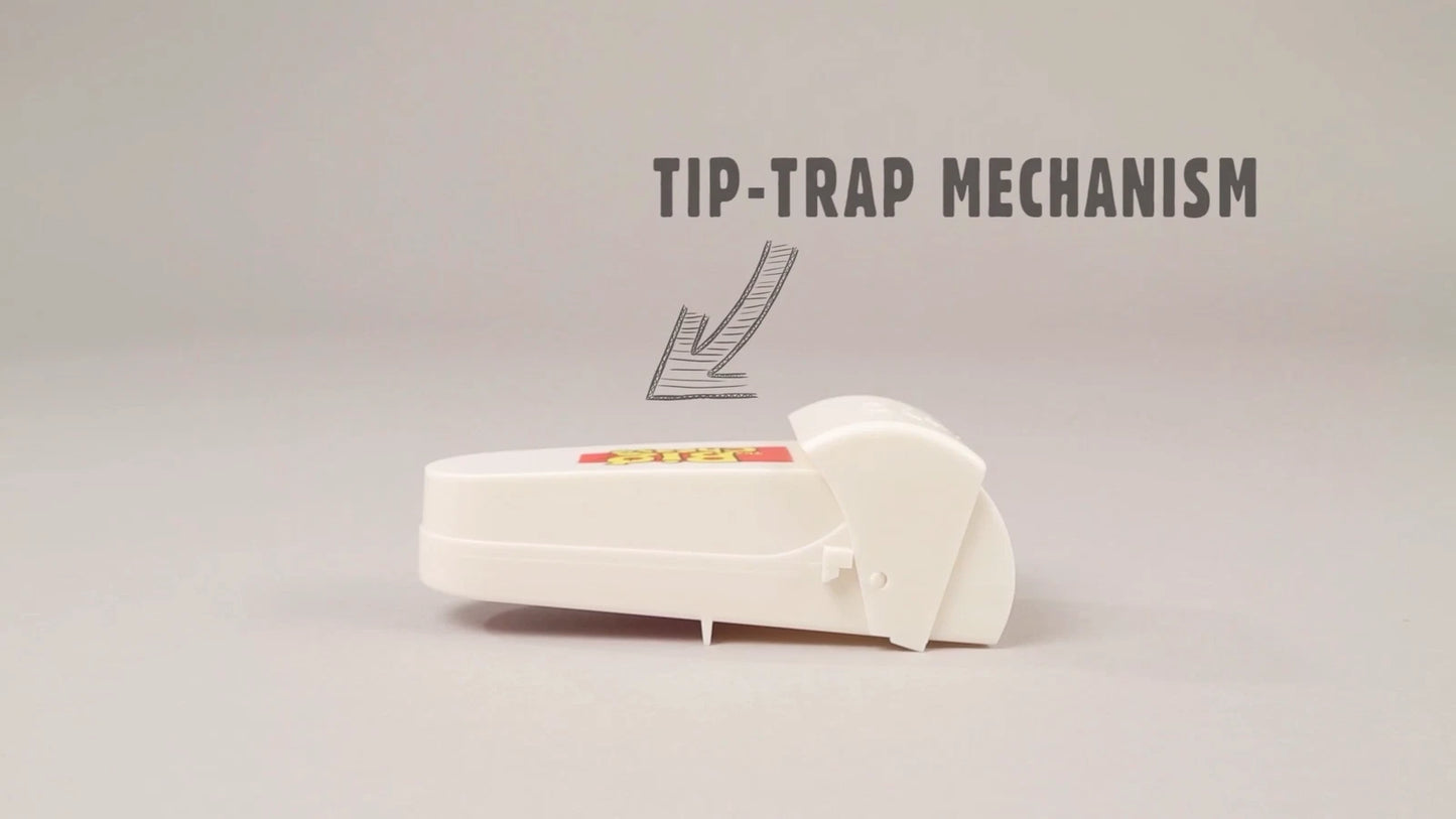 The Big Cheese Humane Live Catch Mouse Trap 2 Pack - Indoor/Outdoor, Eco-Friendly