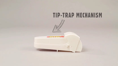 The Big Cheese Humane Live Catch Mouse Trap 2 Pack - Indoor/Outdoor, Eco-Friendly