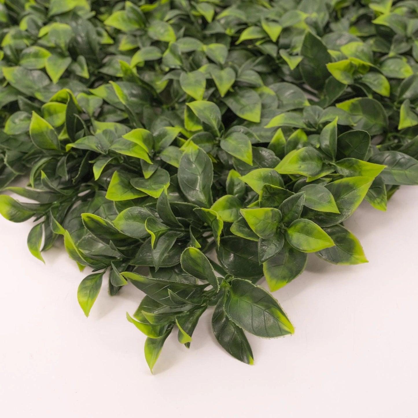 UN-REAL 50x50cm Pittosporum Artificial Hedge Tile, UV Treated, Weather-Resistant, Easy Install