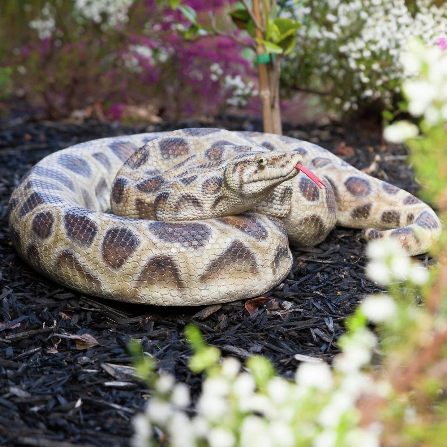 Northcote Pottery 45cm Black Resin Python Garden Statue - Realistic Hand-Painted Design