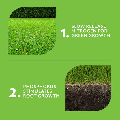 Munns 2.4L Golf Course Green Lawn Fertiliser Hose-On, Slow Release, All Lawn Types