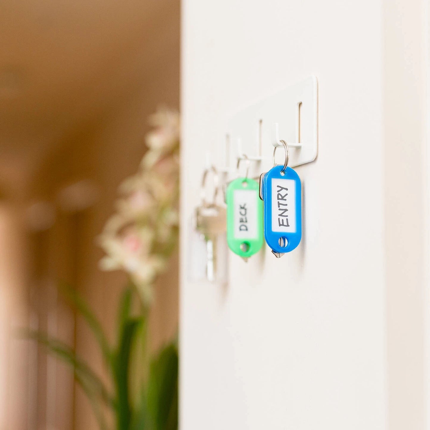 Taskmaster 50x22mm Key Tags 200 Pack, Writable Inserts, Assorted Colours, Durable Key Rings