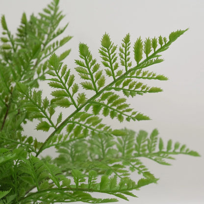 Artificial Rabbit's Foot Fern 35cm - Lifelike Faux Plant with Furry Rhizomes, No Maintenance