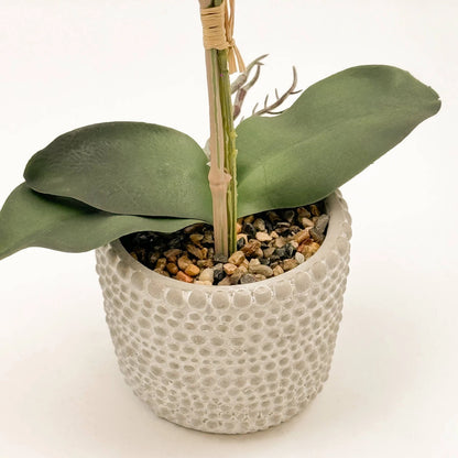 Un-Real 38cm White Artificial Orchid Flowers in Decor Pot - Elegant, Low Maintenance Decor