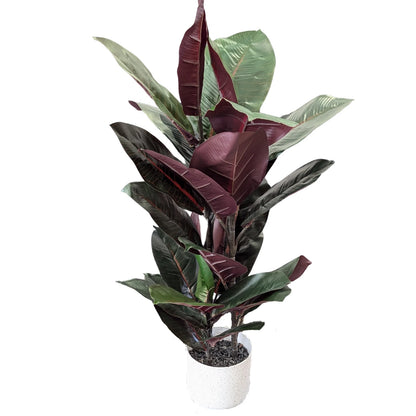 UN-REAL 67cm Artificial Burgundy Rubber Plant - Indoor, Low Maintenance, Realistic Foliage
