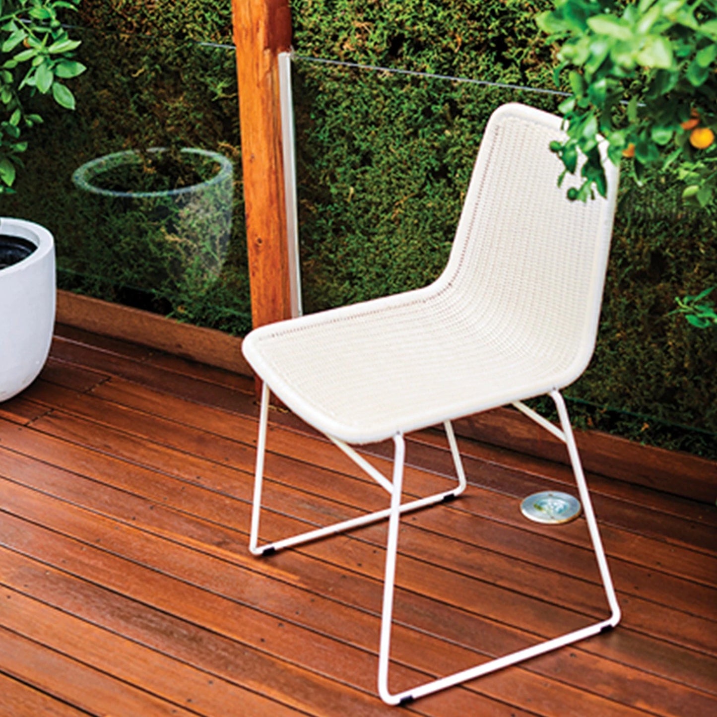 Cabot's 4L Natural Decking Oil - Fast Drying, UV & Water Resistant, Deep Penetrating