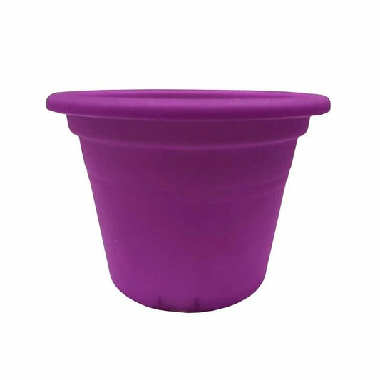 Eden 25cm Transparent Purple Plastic Round Cylinder Pot for Plants