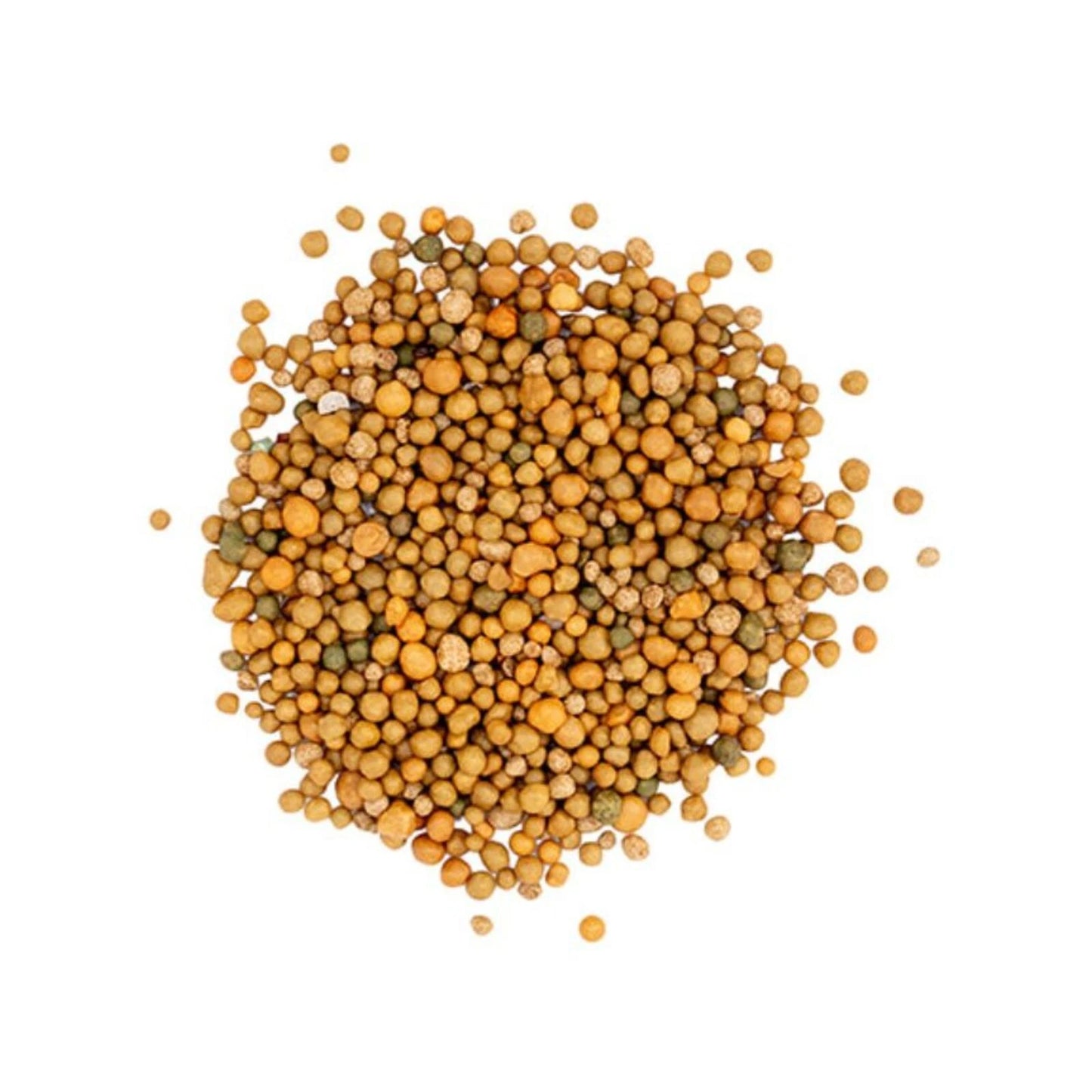 Scotts Osmocote 500g Controlled Release Fertiliser for Pots & Indoor Plants, 6-Month Feed