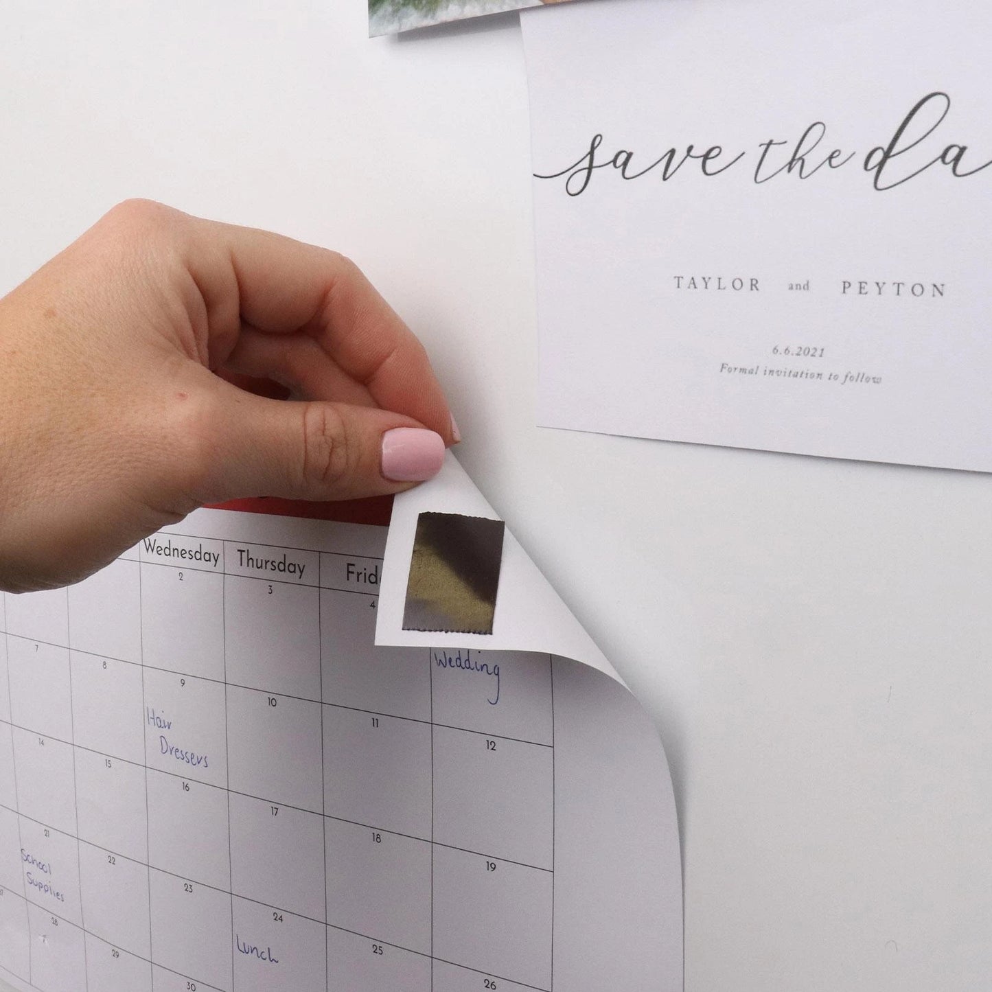 Everhang Magnetic Tape 300 x 19mm with Dispenser & Strong Adhesive