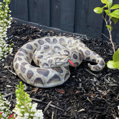 Northcote Pottery 45cm Black Resin Python Garden Statue - Realistic Hand-Painted Design