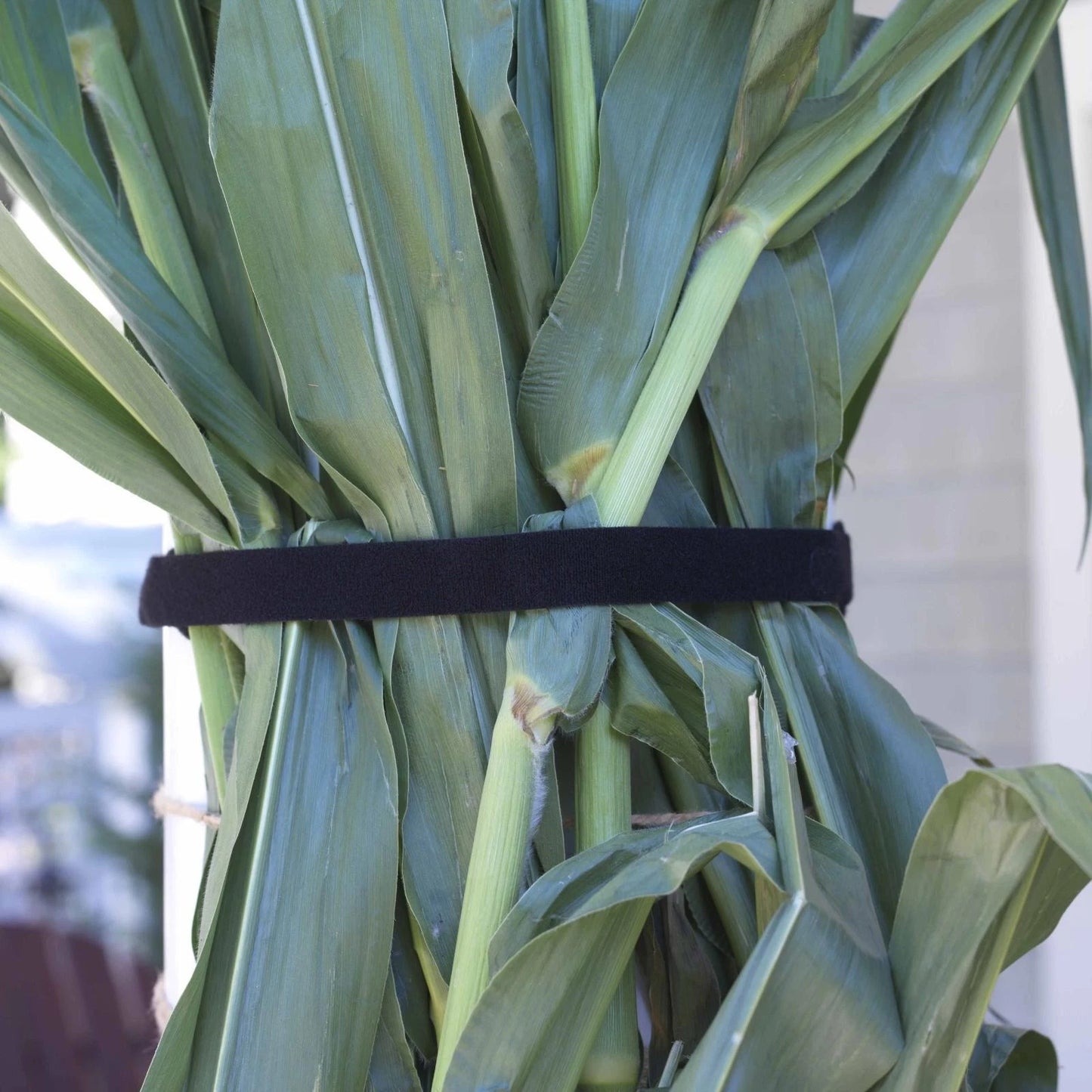 VELCRO® 25mm x 2m Black Reusable Wrap, Secure Cable Organizer, Indoor/Outdoor Use